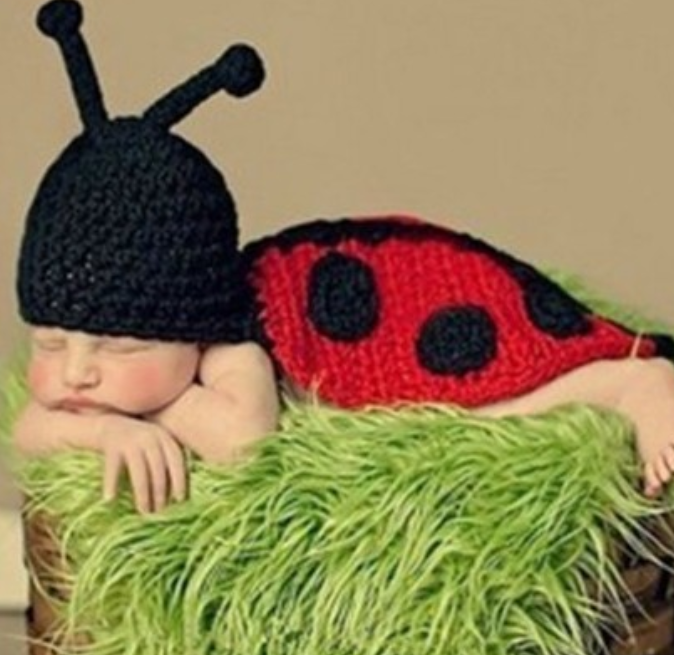 Recommended baby clothes Seven Star Ladybug