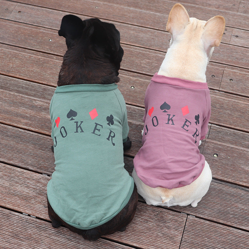 Schnauzer Teddy Hunde-Sweatshirt aus reiner Baumwolle für kleine Hunde und Katzen