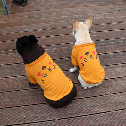 Schnauzer Teddy Hunde-Sweatshirt aus reiner Baumwolle für kleine Hunde und Katzen