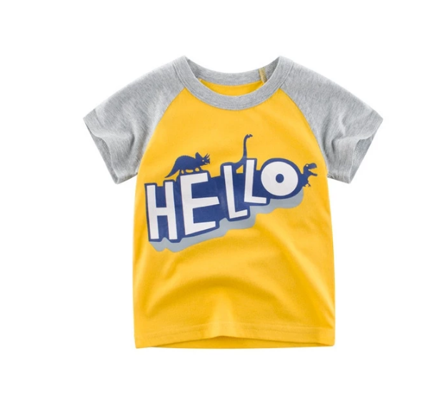 Children's Wear 2024 Summer New Korean Children's Boy Cotton T-shirt Men's Treasure In Children's Short Sleeves