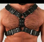 A wide belt and chest strap