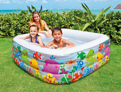 Inflatable Aquarium Outdoor Swimming Pool