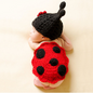 Recommended baby clothes Seven Star Ladybug