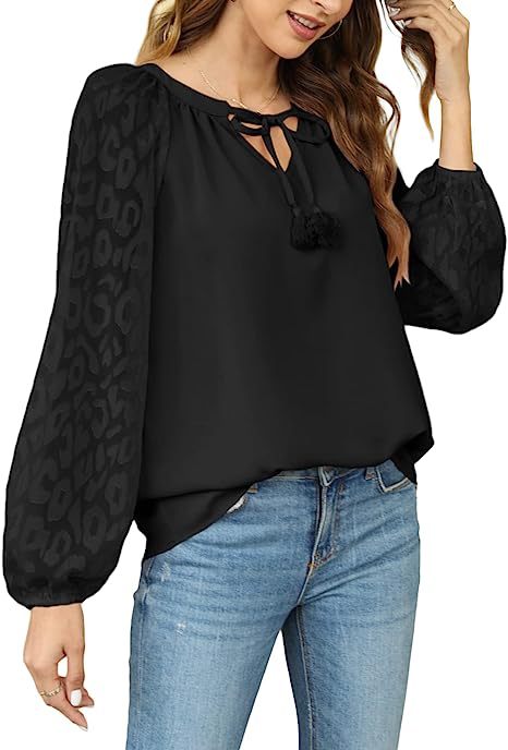 Women's Long Sleeve Chiffon Lace Loose V-Neck Shirt