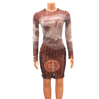 Women's mesh long sleeve dress