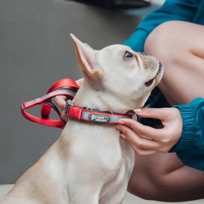 Hundehalsband Pet Products Reflektierendes Traktionsset für den gesamten Hals