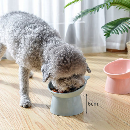 2pcs/set Cat bowl 45 ° neck protection high foot dogs apf cat food water bowl cute binaural pet feeding cup feeder bowls