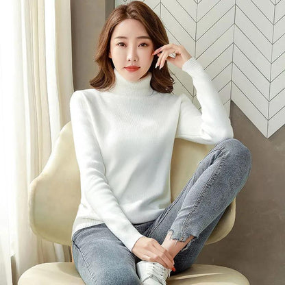 Turtle Neck Winter Sweater Women Elegant Thick Warm Female