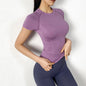 Seamless Yoga Shirts Women Quick Dry Running Tops Tight Workout Gym