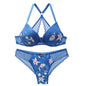 New 2023 sexy 3/4 cup back closure lace women bra set thong hollow out underwear intimante dessou