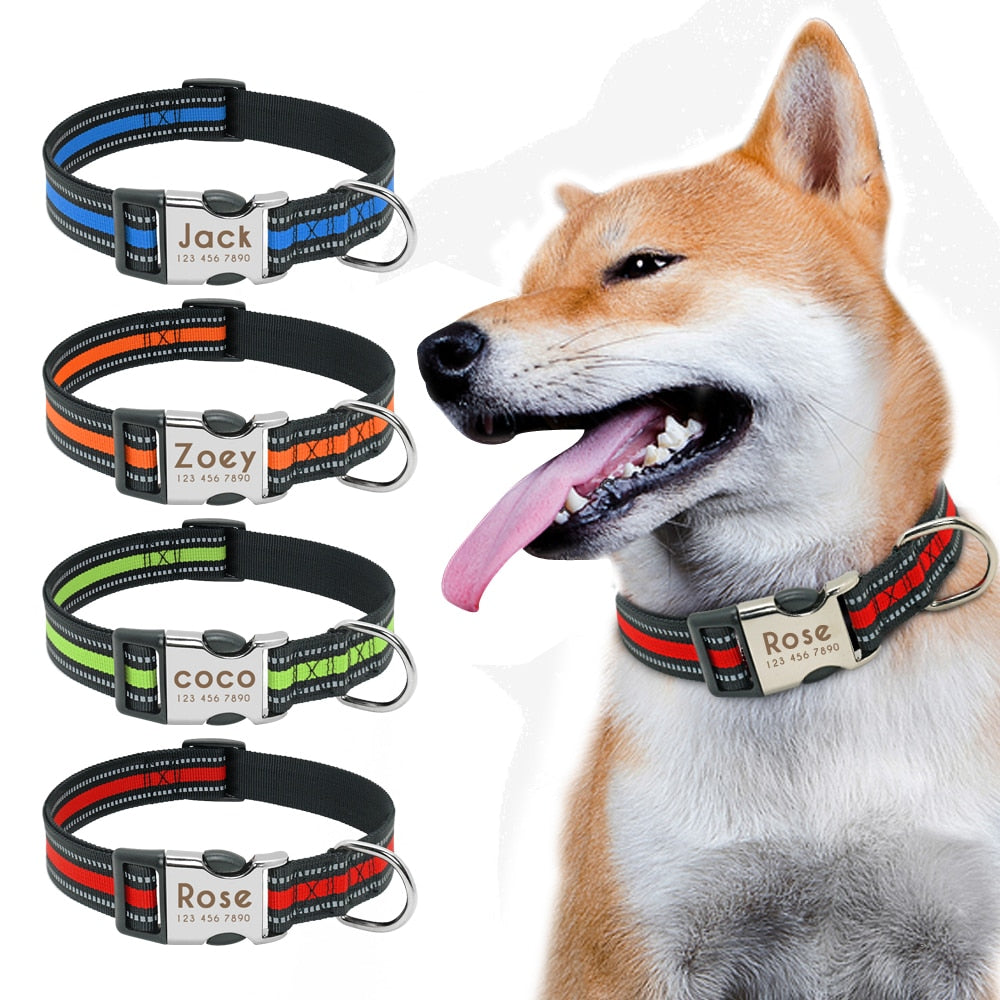 Nylon Dog Collar Collar Engraved ID Tag