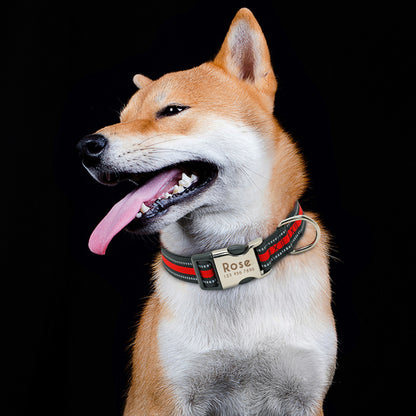 Nylon Dog Collar Collar Engraved ID Tag
