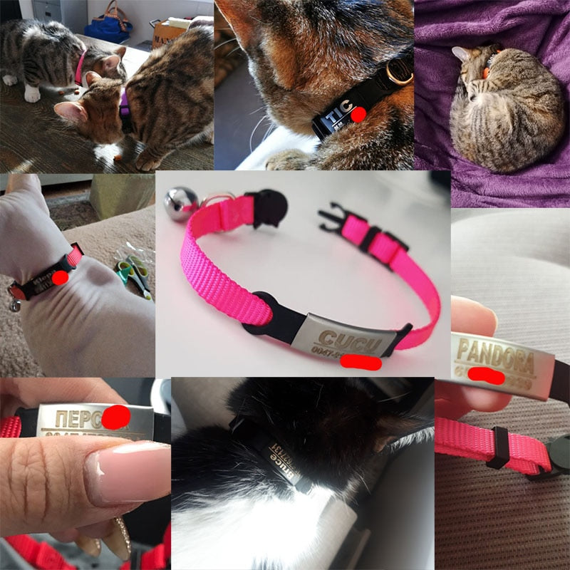 Personalisierte ID Tag Katze Kragen Glocke Gravur Sicherheit Abtrünnigen