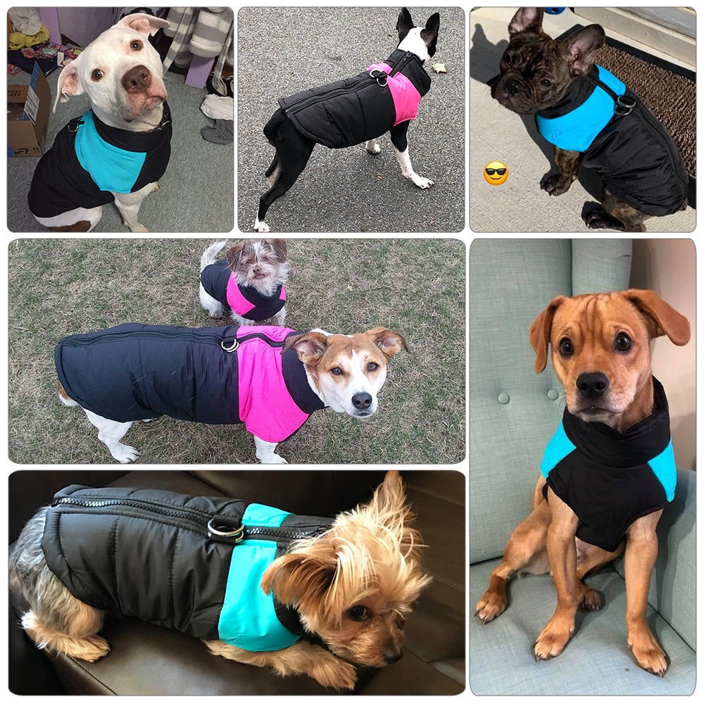 Winter Hund Kleidung Pet Mantel Puppy Jacke Französisch Bulldog Weste Wasserdichte Warme