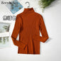 Basic Turtleneck Sweater Women Pullover Autumn Winter Tops Slim