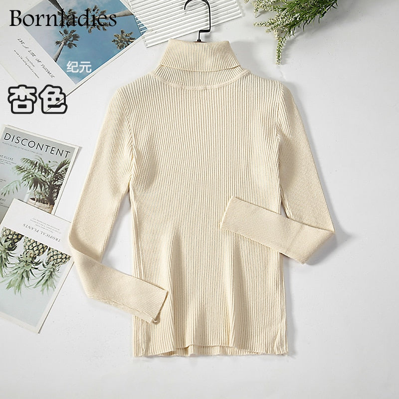 Basic Turtleneck Sweater Women Pullover Autumn Winter Tops Slim