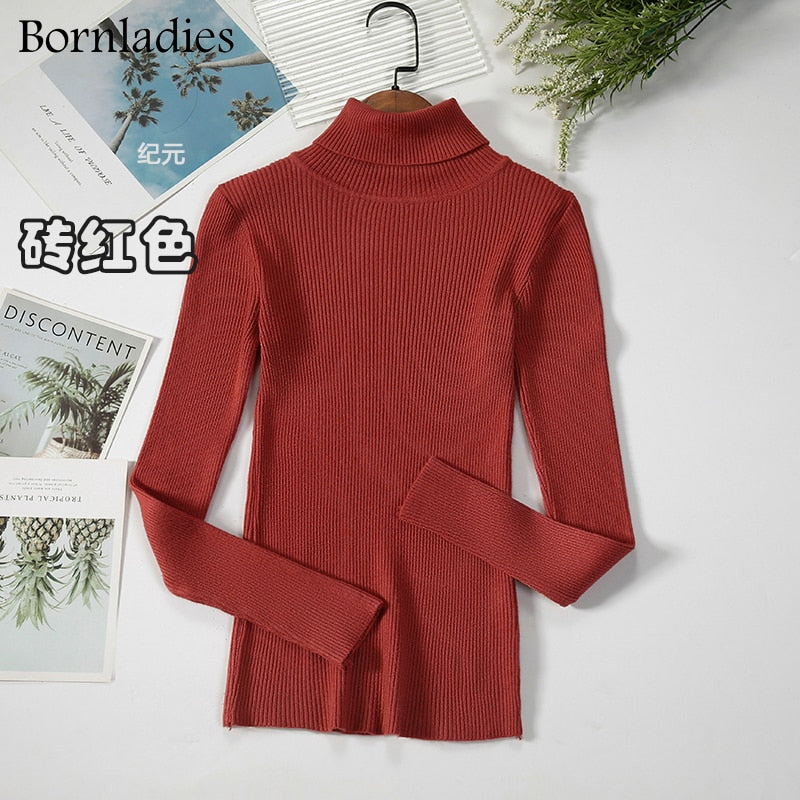 Basic Turtleneck Sweater Women Pullover Autumn Winter Tops Slim