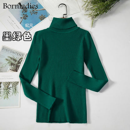 Basic Turtleneck Sweater Women Pullover Autumn Winter Tops Slim