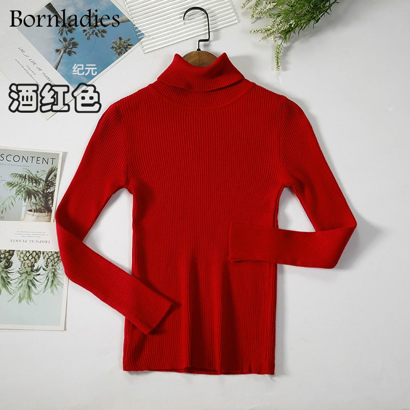 Basic Turtleneck Sweater Women Pullover Autumn Winter Tops Slim