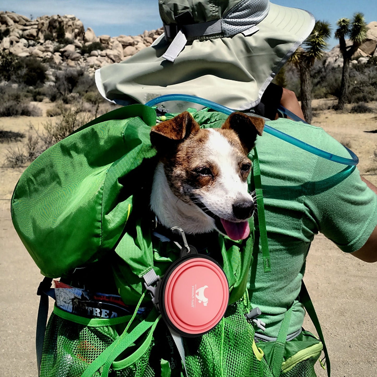 350ML/1000ML 1PC Faltbare Hund Schalen für Reise Hund Tragbare Wasser Schüssel
