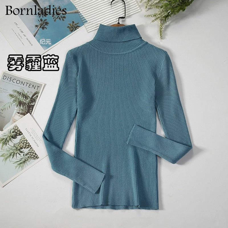 Basic Turtleneck Sweater Women Pullover Autumn Winter Tops Slim