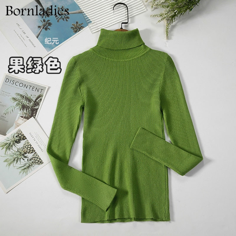 Basic Turtleneck Sweater Women Pullover Autumn Winter Tops Slim