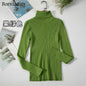 Basic Turtleneck Sweater Women Pullover Autumn Winter Tops Slim