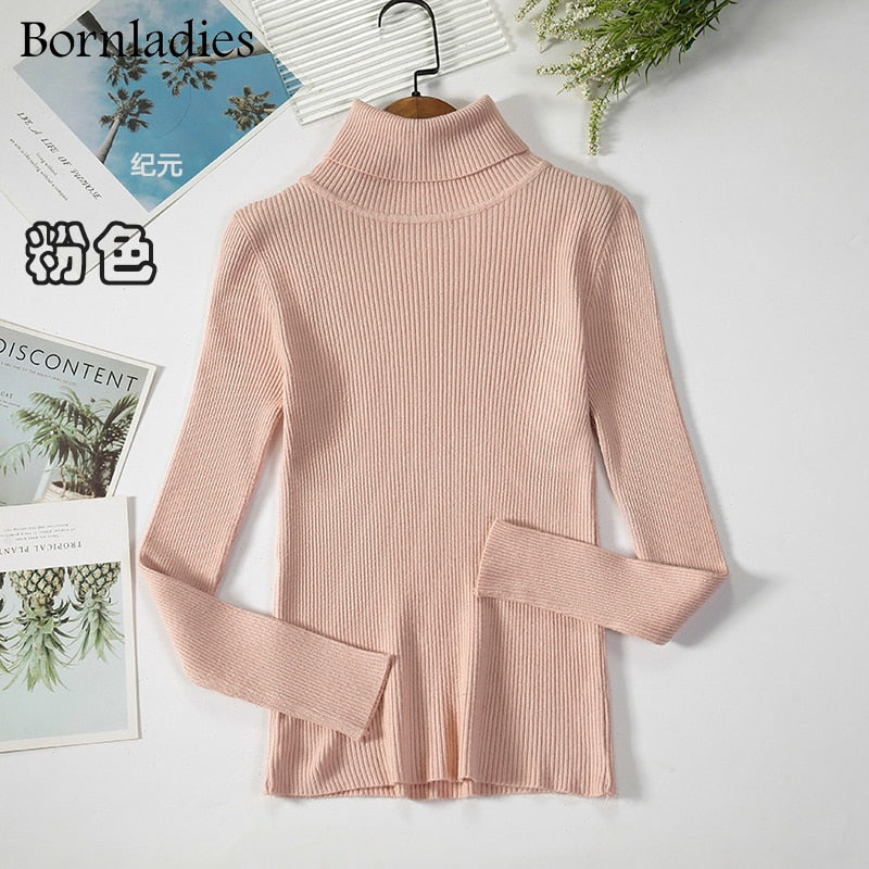 Basic Turtleneck Sweater Women Pullover Autumn Winter Tops Slim