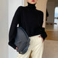 Basic Turtle Neck Knitted Sweater Women Winter Elegant Thick