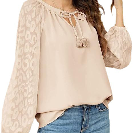 Women's Long Sleeve Chiffon Lace Loose V-Neck Shirt