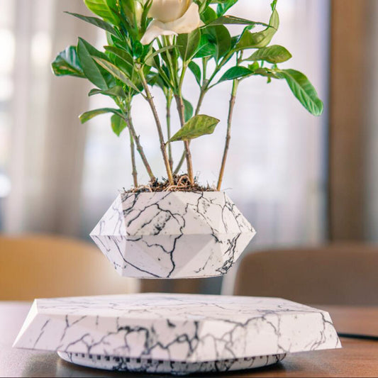 Floating Magnetic Levitation Flower Pot Bonsai Air Plant Pot Planter for Home Office Desk Decoration Creative Gift