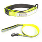 Dog Collar Pet Products Reflective Full Neck Traction Kit