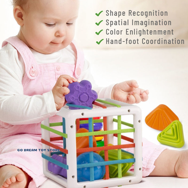 Baby Montessori Educational