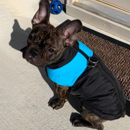 Winter Dog Clothes Pet Coat Puppy Jacket French Bulldog Vest Waterproof Warm